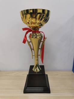 046BC8989704B5DFF3B2698350534090